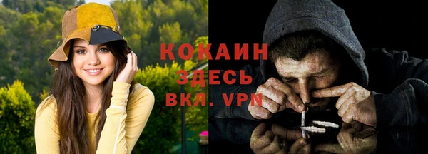 ПСИЛОЦИБИНОВЫЕ ГРИБЫ Елабуга
