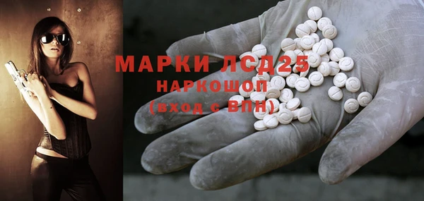 ПСИЛОЦИБИНОВЫЕ ГРИБЫ Елабуга