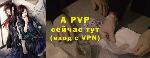 спайс Ельня