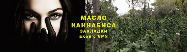 спайс Ельня