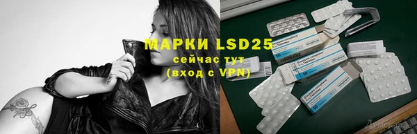 спайс Ельня