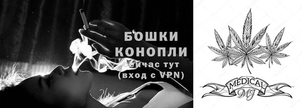 спайс Ельня