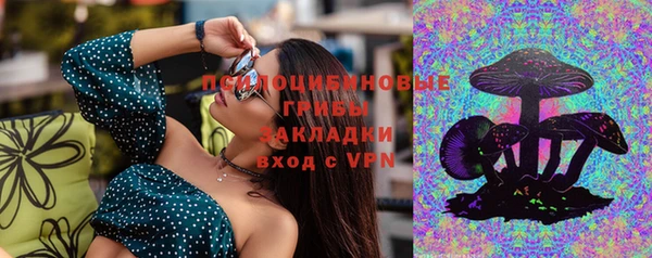 ПСИЛОЦИБИНОВЫЕ ГРИБЫ Елабуга