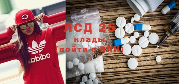 ПСИЛОЦИБИНОВЫЕ ГРИБЫ Елабуга