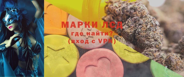 спайс Ельня
