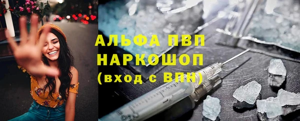 ПСИЛОЦИБИНОВЫЕ ГРИБЫ Елабуга