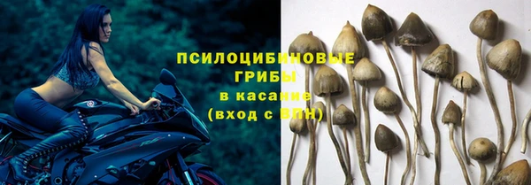 спайс Ельня